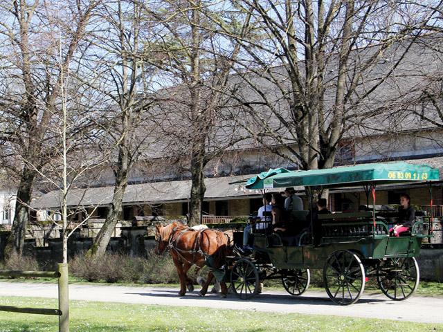 Tarbes au trot