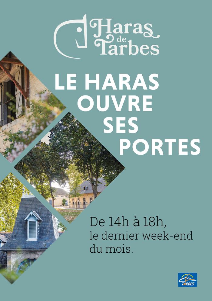 Portes ouvertes Haras 2020