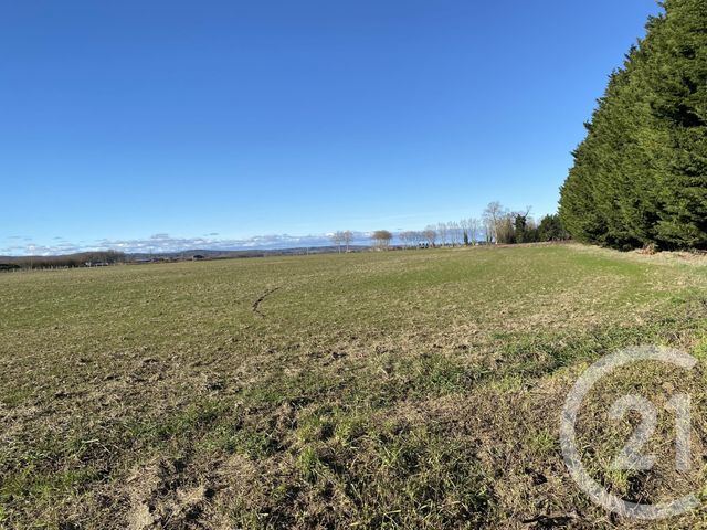 terrain - BORDERES SUR L ECHEZ - 65