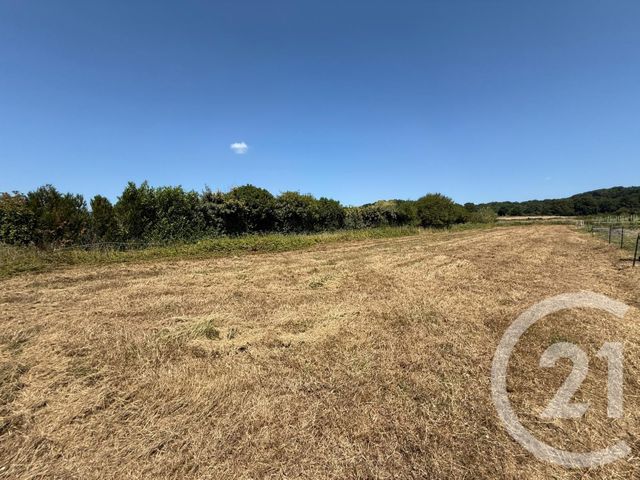 terrain à vendre - 1530.0 m2 - MOULEDOUS - 65 - MIDI-PYRENEES - Century 21 Gm Immobilier