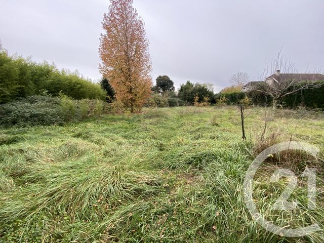 maison à vendre - 6 pièces - 187.0 m2 - TARBES - 65 - MIDI-PYRENEES - Century 21 Gm Immobilier