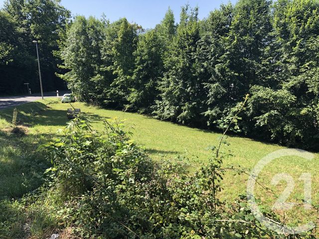 Afficher la photo en grand terrain à vendre - 998.0 m2 - BAGNERES DE BIGORRE - 65 - MIDI-PYRENEES - Century 21 Gm Immobilier