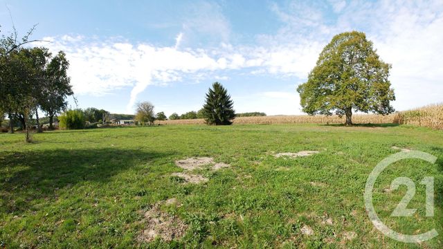 terrain à vendre - 7466.0 m2 - 65 - MIDI-PYRENEES - Century 21 Gm Immobilier